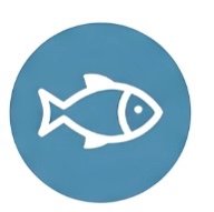 Seafood